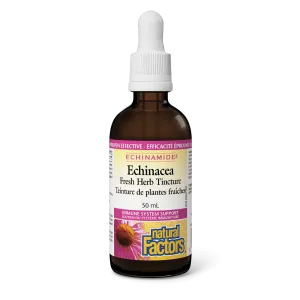 Echinacea Fresh Herb Tincture
