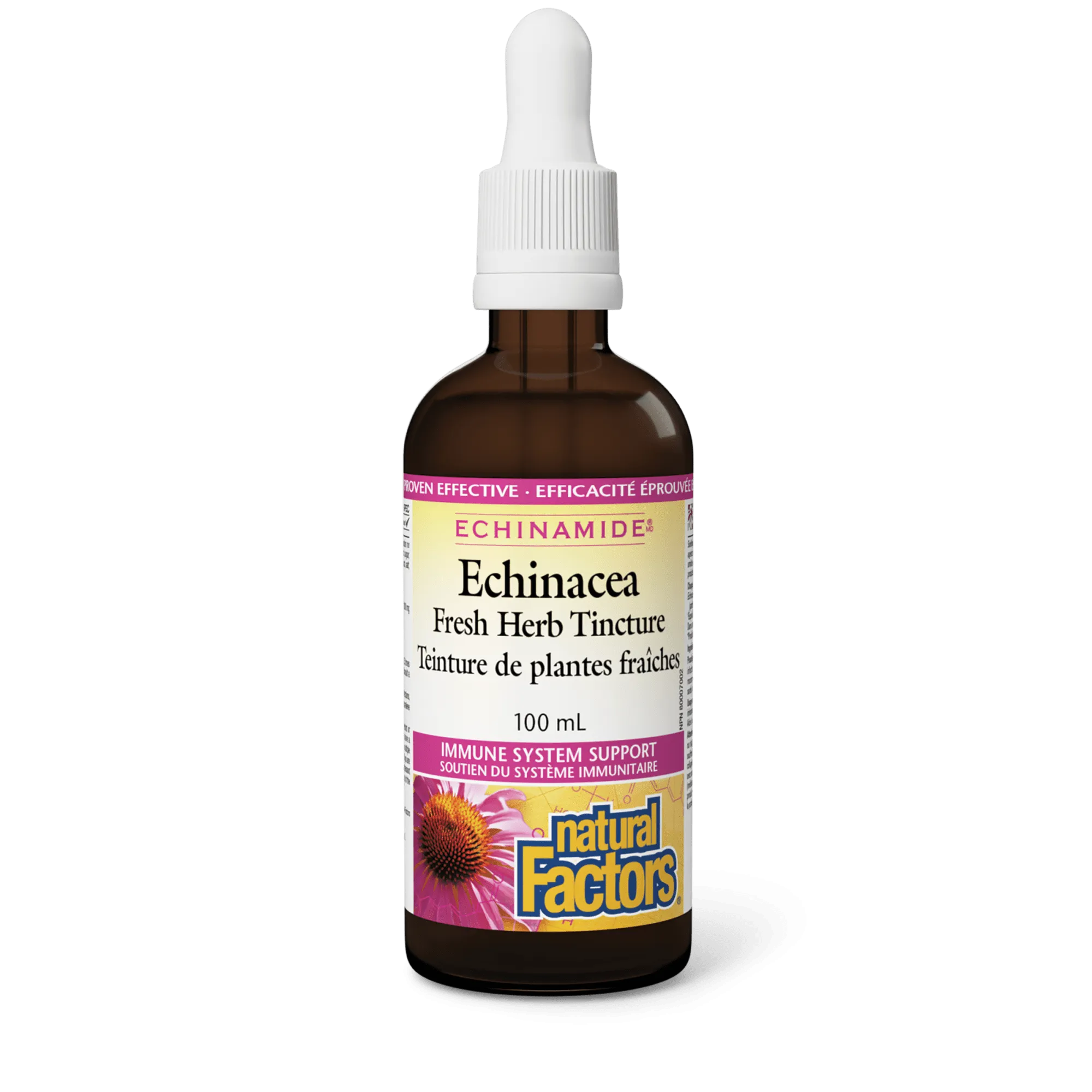 Echinacea Fresh Herb Tincture