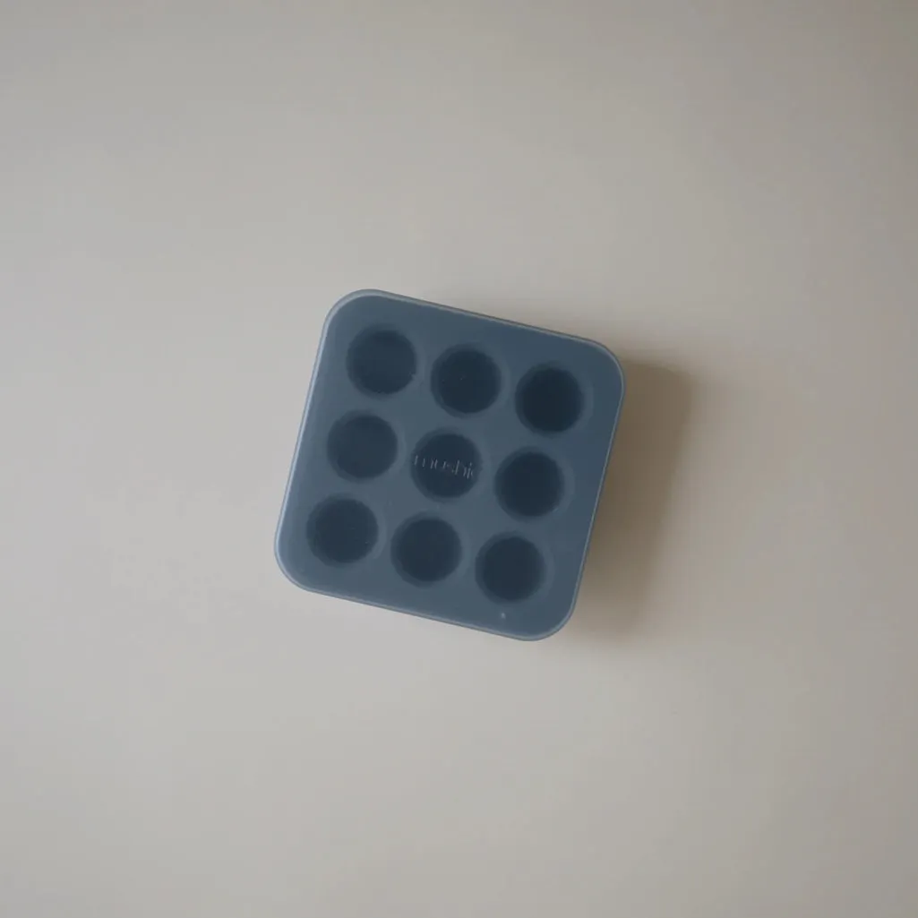 Fresh Food Freezer Tray