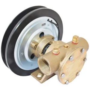 Pump - Bronze Clutch 1" 2A - 12V