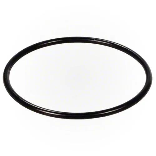 Waterway Pump Lid 319-4100