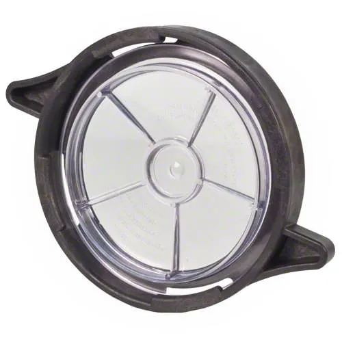 Waterway Pump Lid 319-4100